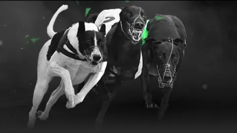 “元宵佳节临近，传统元宵市场供需繁荣”